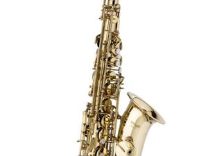 Saxo Stagg WSAS215S